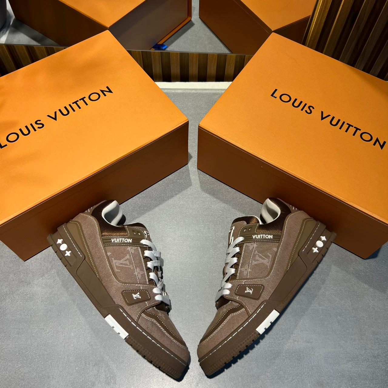 Louis Vuitton LV Skate
