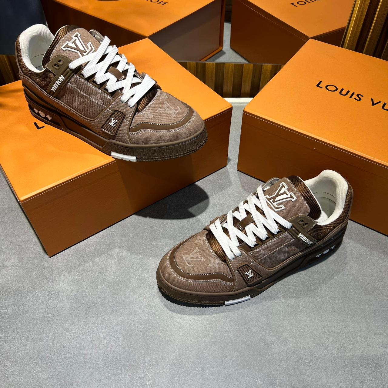 Louis Vuitton LV Skate