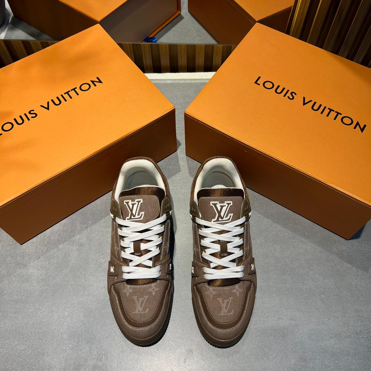 Louis Vuitton LV Skate